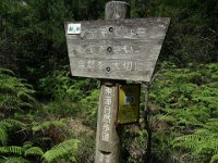 DSC09492