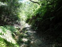 DSC09538