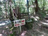 DSC09543