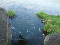DSC09585