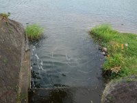 DSC09613