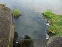 DSC09623