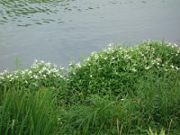 DSC09630