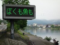 DSC09641