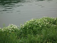 DSC09650