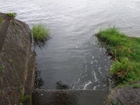 DSC09663