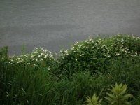 DSC09687