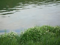 DSC09702