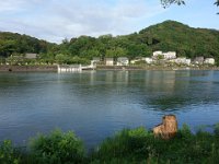 DSC09718