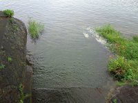 DSC09788