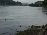DSC09812