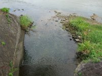 DSC09813