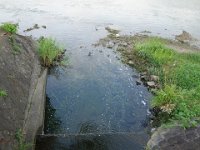 DSC09827