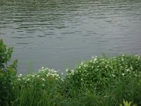 DSC09833