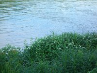 DSC09848