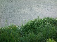 DSC09864