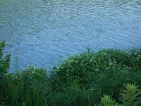 DSC09891