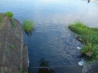 DSC09950