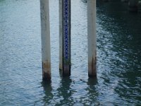 DSC09967