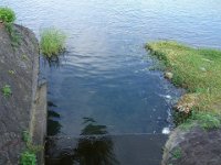 DSC00016