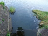 DSC00029
