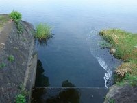 DSC00049