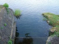 DSC00078