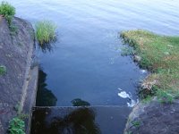DSC00101