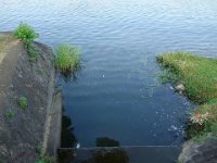 DSC00137