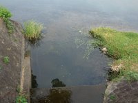 DSC00149