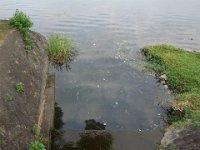 DSC00160