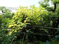 DSC00163