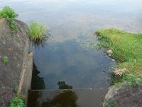 DSC00174