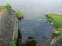 DSC00189