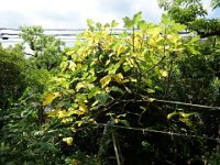 DSC00192
