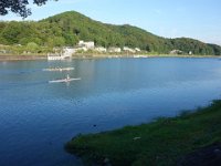 DSC00223