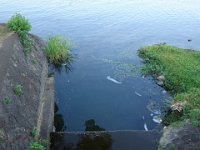 DSC00224