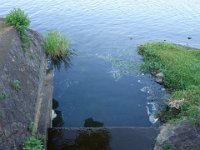 DSC00245