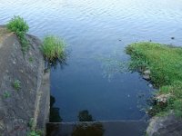 DSC00264