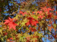 DSC00285