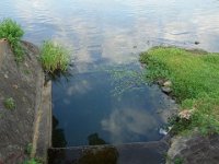 DSC00306