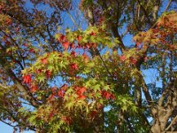 DSC00402