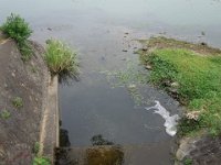 DSC00422