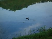 DSC00471