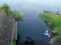 DSC00489