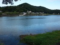 DSC00524