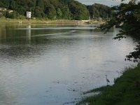DSC00553