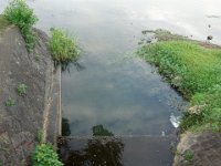 DSC00556