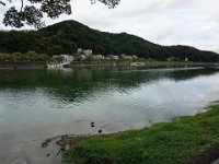 DSC00601