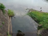DSC00603